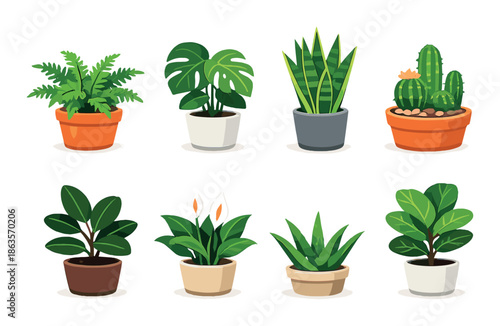Collection of potted indoor plants: cactus, fern, monstera, aloe, snake plant, fiddle leaf fig