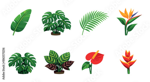 Vibrant collection of tropical leaves and flowers on a green background