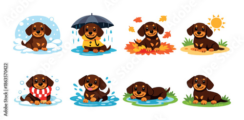 Cartoon dachshund puppy in various weather and seasonal settings