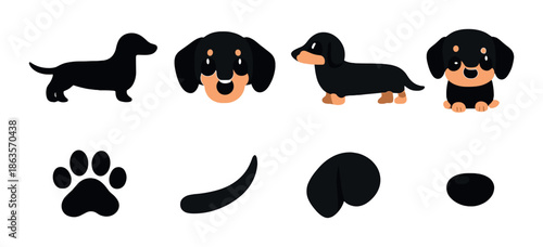 Colorful dachshund icon set with silhouettes and cute illustrations
