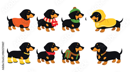 Adorable dachshunds in colorful outfits and accessories