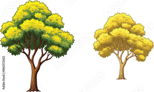 Autumn trees with yellow foliage, seasonal nature background, vibrant leaves, forest landscape, golden canopy, tranquil scene, botanical beauty, outdoor environment