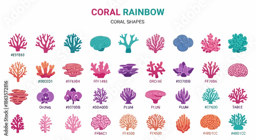 Colorful and diverse coral shapes vector illustration presenting ocean reef variations