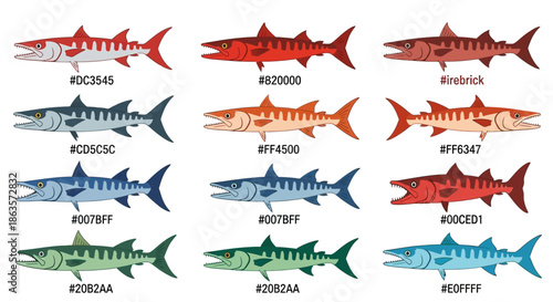 Illustration of Barracuda Fish in Various Colors with Corresponding Hex Codes for Design