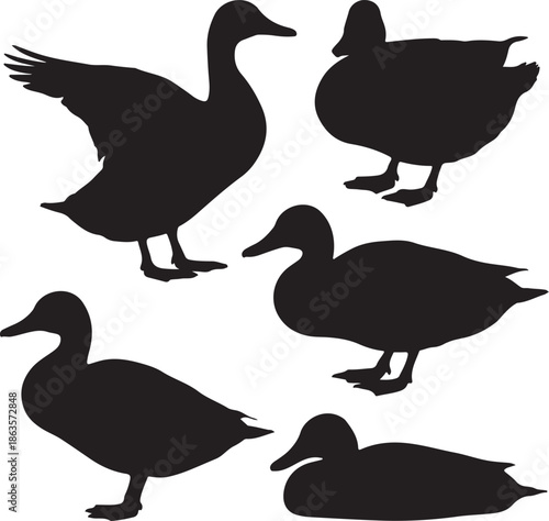Set of five duck and goose silhouettes in various poses