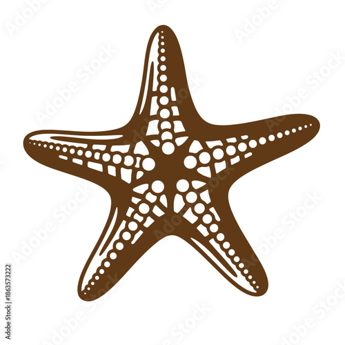 brown starfish with white spots on transparent background
