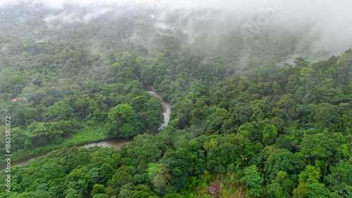Aerial view of vibrant green rainforest in San Cipriano, Buenaventura, Valle del Cauca, Colombia, showcasing nature's lush beauty.