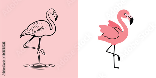 Flamingo illustration and drawing, elegant bird on one leg