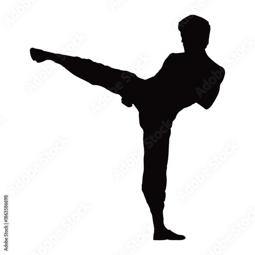 Martial Artist Kick (Taekwondo, Karate, Kungfu) Silhouette. Editable EPS 10 Vector Illustration isolated on white background.