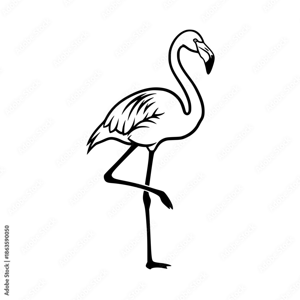 Fototapeta premium vector illustration of a flamingo