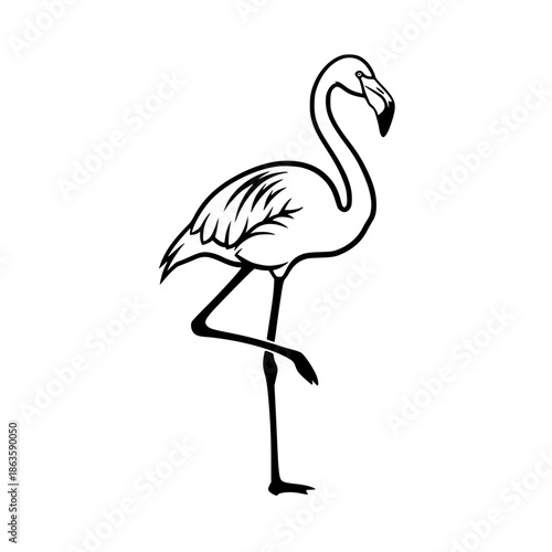 vector illustration of a flamingo