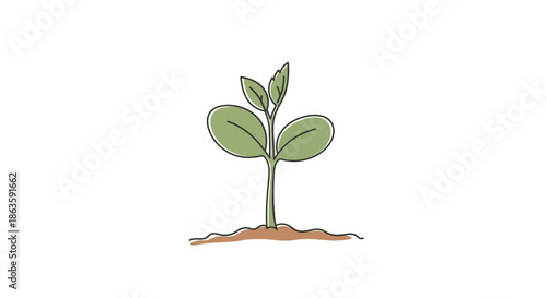 Illustration of a young plant sprouting from soil symbolizing growth and hope illustration
