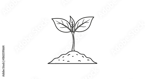Black and white illustration of a seedling growing from soil for environmental education and