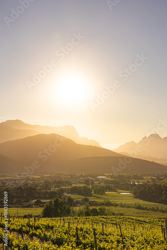Vineyard landscape with mountains at sunset. Beautiful travel destination for viticulture and wine tasting. Nature scenery background.