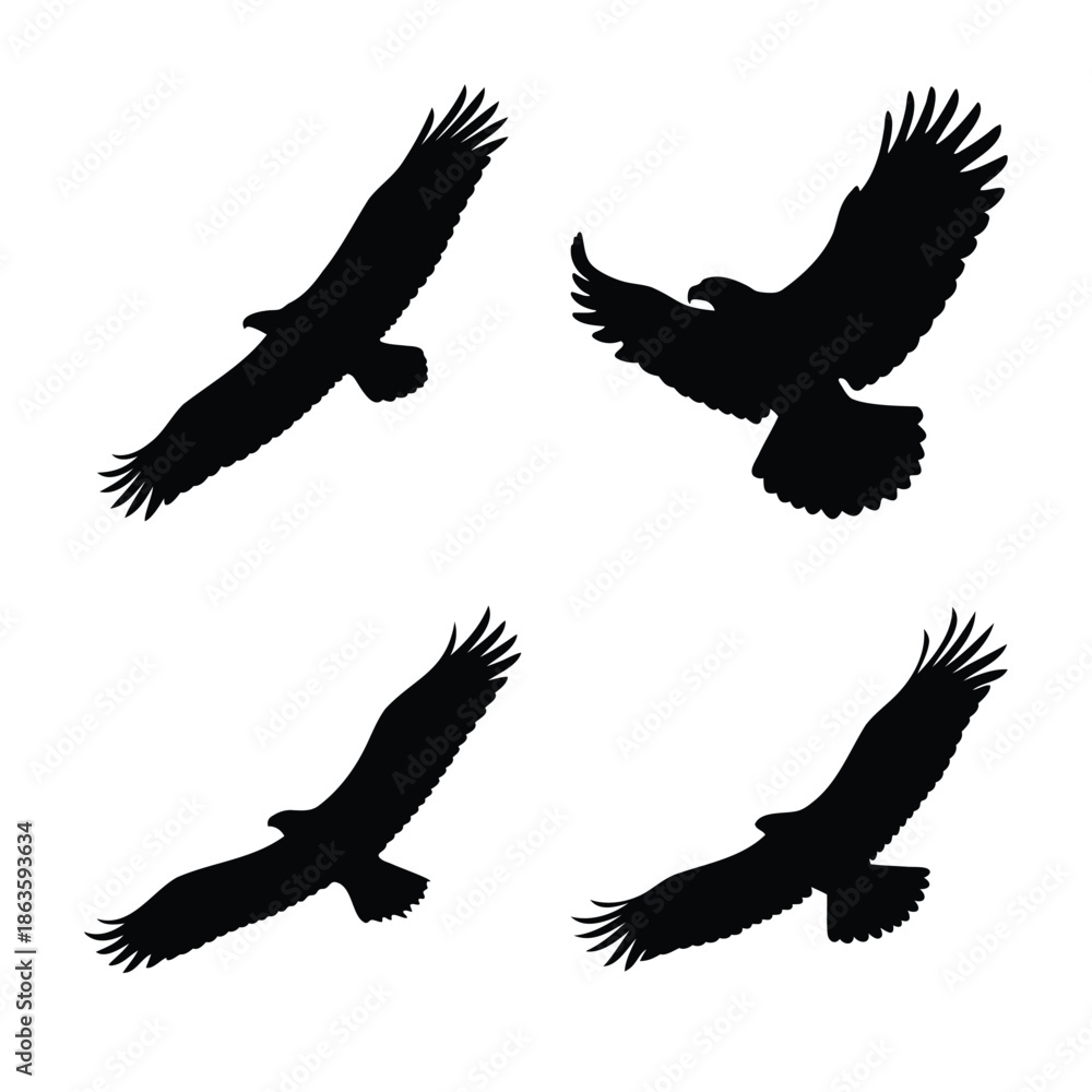 Fototapeta premium Black silhouettes of majestic eagles soaring in different flight poses on a pristine white background