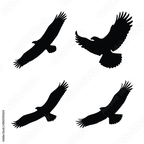Black silhouettes of majestic eagles soaring in different flight poses on a pristine white background