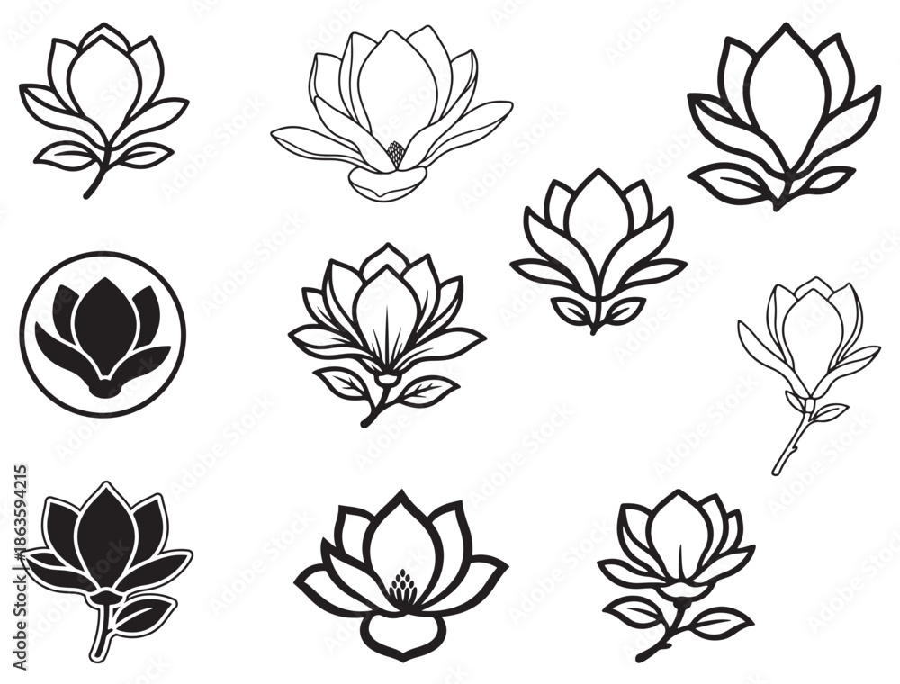 Fototapeta premium MAGNOLIA FLOWER SILHOUETTE
