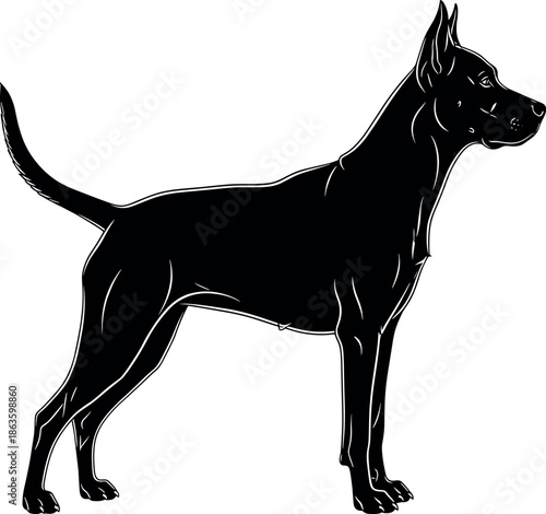 Doberman silhouette of a purebred dog standing in profile