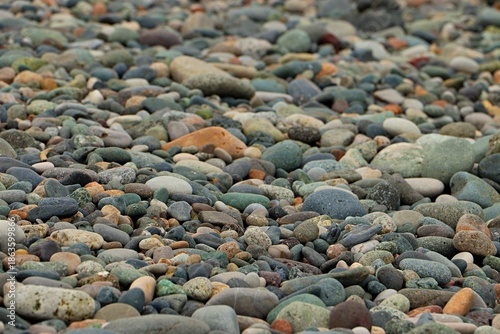 Background, texture of sea pebbles on the beach