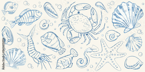 A beautiful sketch of various marine life and seashells in blue tones