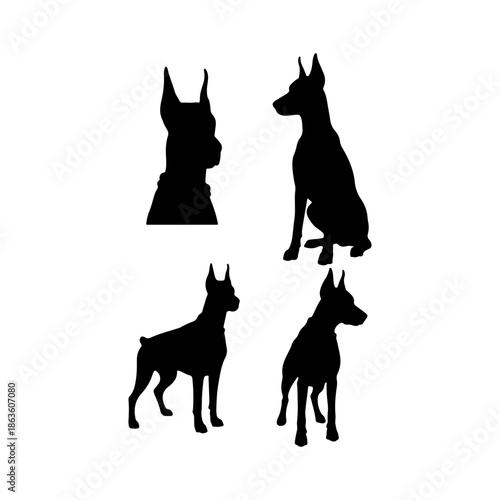 Doberman silhouette, various Doberman animal clipart, Doberman vector art, Doberman vector, vector of Doberman dog set isolated