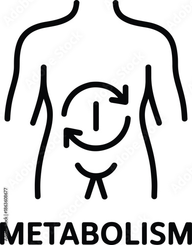 Metabolism process concept with human body and arrows