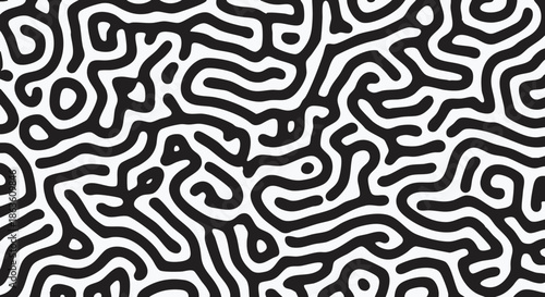 Intricate black and white pattern