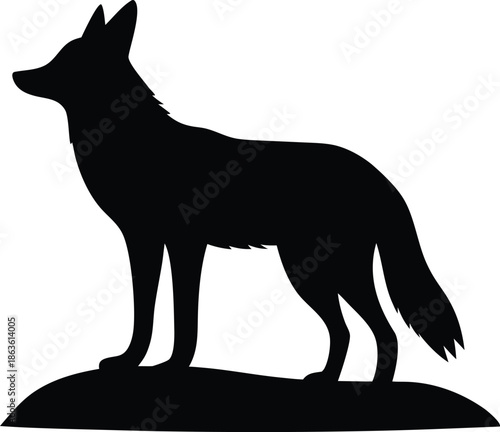 Black wild coyote standing profile silhouette on a small patch of ground looking to the left