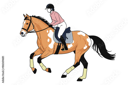 A horse rider wearing a pink shirt and helmet mounted on a buckskin horse with white spots in a dynamic riding pose horse riding equestrian jumping horse sport animal mammal