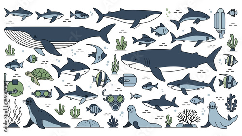 A vibrant collection of marine life and underwater exploration elements, featuring whales, sharks, seals, turtles, fish, coral, and diving equipment.