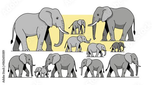 Illustration comparing the sizes of adult and baby elephants, showcasing their relative proportions and scale.