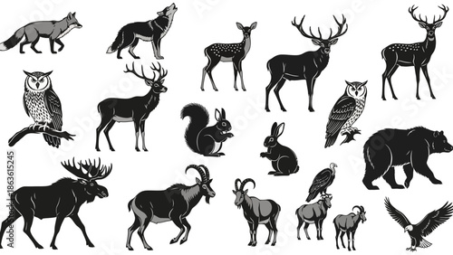 A collection of detailed black and white illustrations of various wild animals found in forests and mountains.