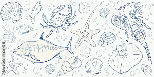 An artistic sketch of various marine life and seashells in blue tones