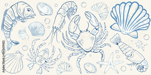 Vintage style illustration featuring various seafood creatures and ocean shells