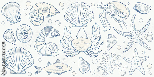 A delicate sketch of various marine life and seashells in blue tones