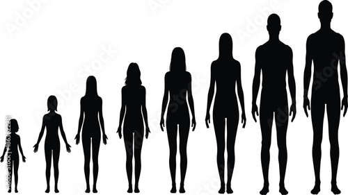 Human growth and body height comparison silhouettes from child to adult, male and female figures, minimalist black vector illustration