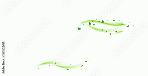 Green air swirl effect with flying mint leaves isolated on white background PNG, vector realistic illustration for advertising design.
