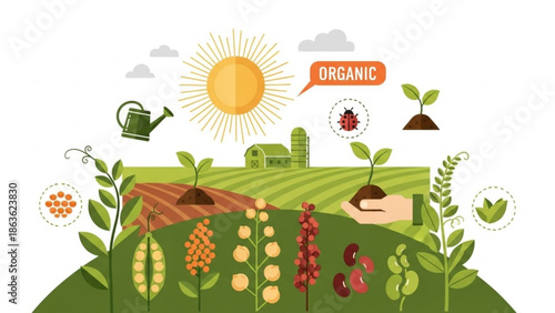 Organic farming illustration healthy plants and crops growing in fields under the sun concept for agriculture and sustainability