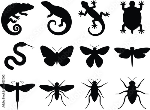 Collection of various insects and reptiles silhouettes