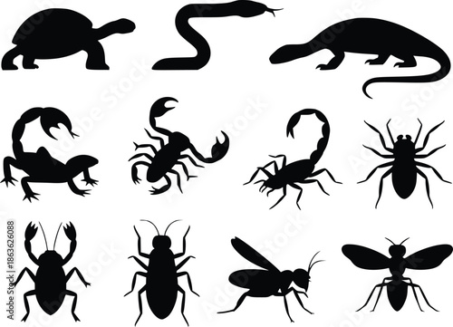Collection of various insects and reptiles