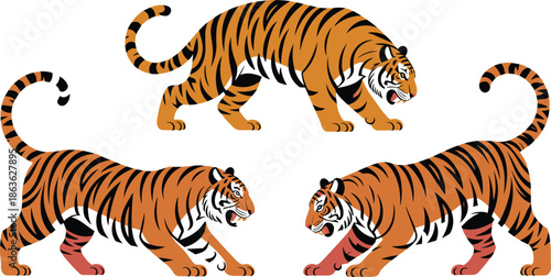 Tiger vector illustration set, orange tiger artwork, prowling and roaring tiger design, wild animal clipart, striped predator shape, logo use