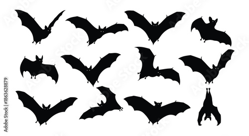 A collection of black bat silhouettes in various flying positions