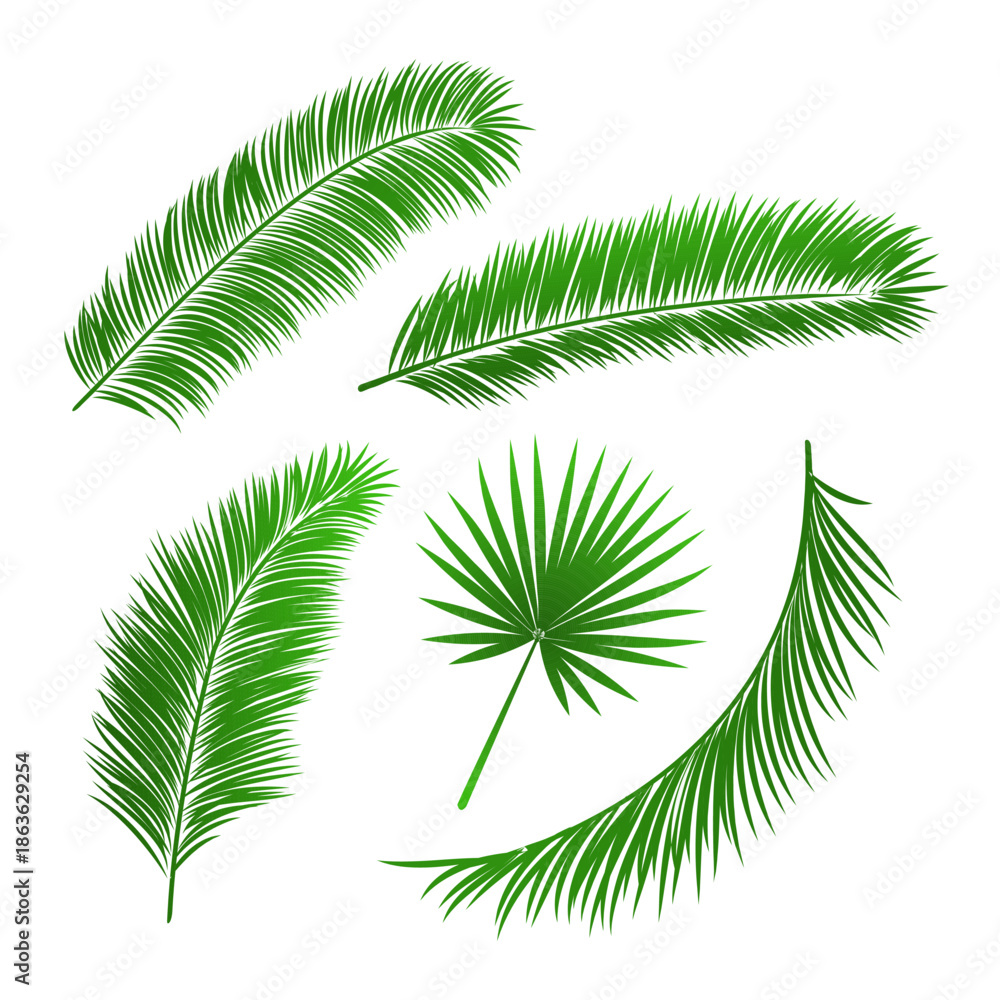 Obraz premium vector elements