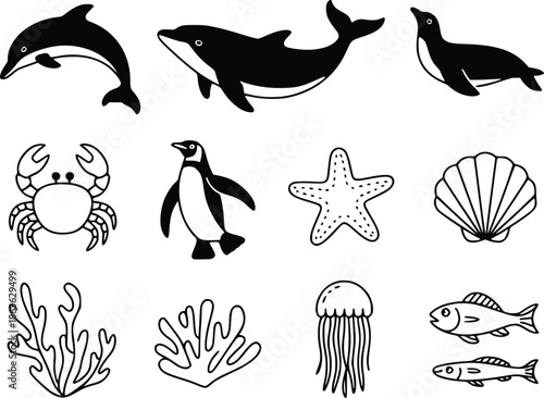 Illustrations of various marine life