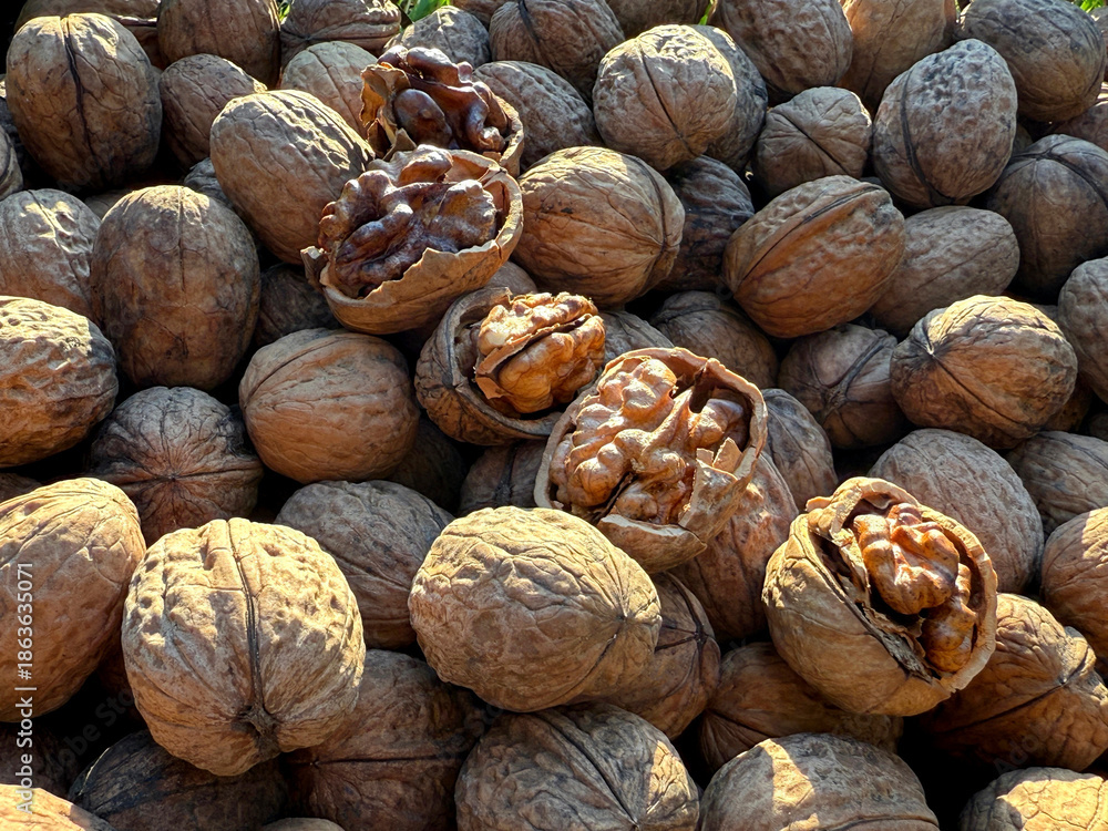 Φωτογραφία Walnuts large wrinkled edible seeds.
