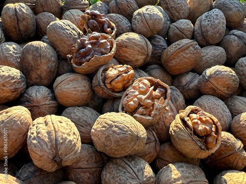 фотографія Walnuts large wrinkled edible seeds.