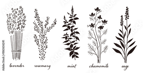 手書きハーブのベクターイラストセット（白黒モノクロ5種類）。ラベンダー、タイム、ミント、カモミール、セージ。アロマや料理のメニュー素材。