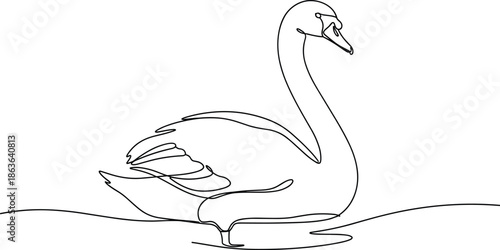 Swan, family, continuous, line, art, illustration, minimalist, vector, bird, walking, water, nature, elegant, simple, design, outline, aquatic, wildlife, cygnet, graceful, animal, pond, swimming