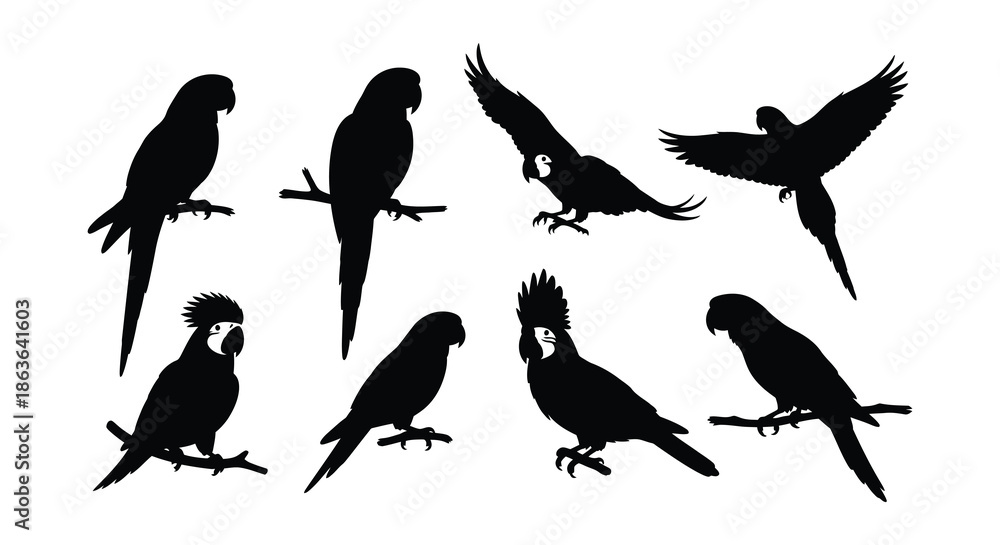 Fototapeta premium Silhouette illustrations of various parrots in different poses and arrangements