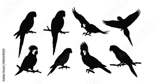 Silhouette illustrations of various parrots in different poses and arrangements
